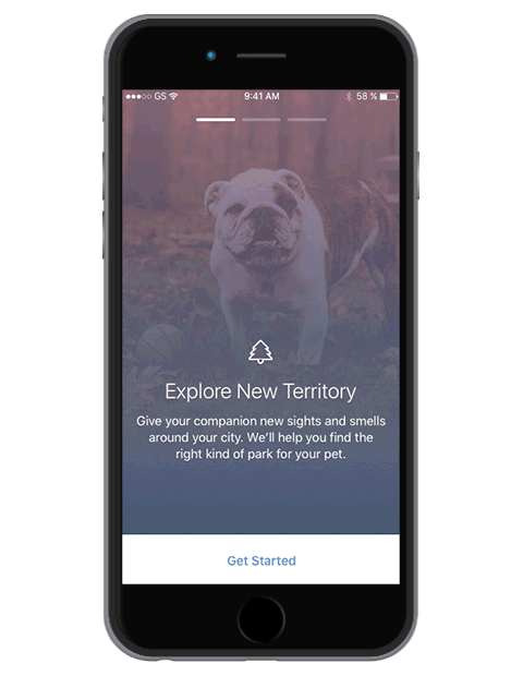 UI Animated Onboarding GIF