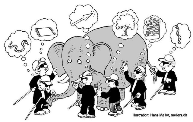 Describing an elephant